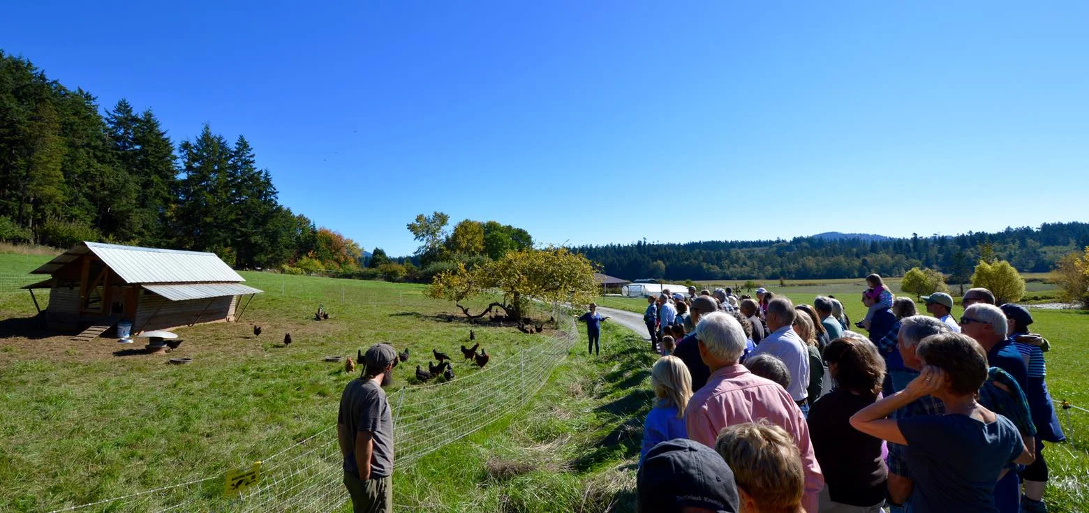 Savor the San Juans: An Orcas Island Farm Tour