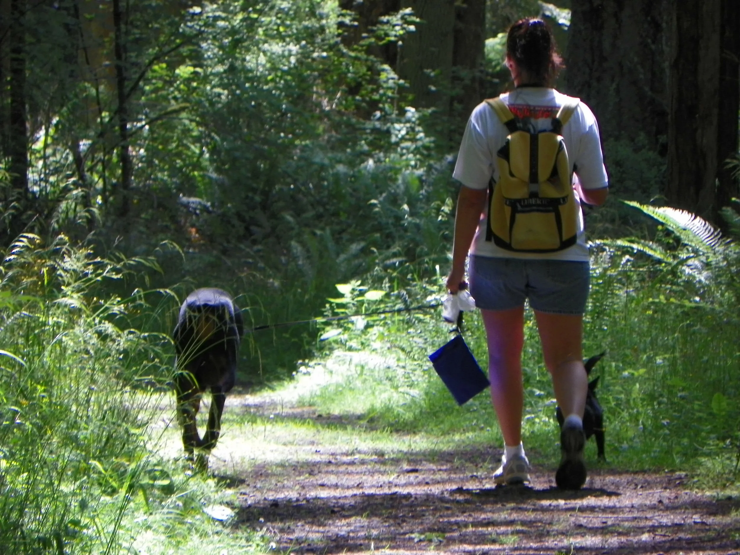 Dog Friendly? You bet we are!