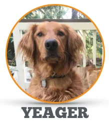 Meet_Yeager.png
