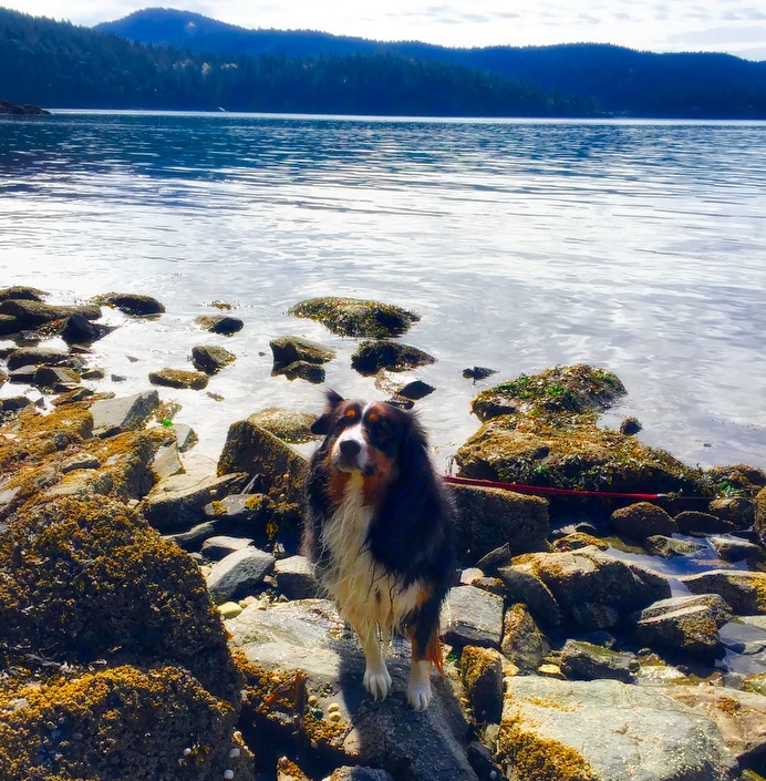 Enjoying Obstruction Pass State Park