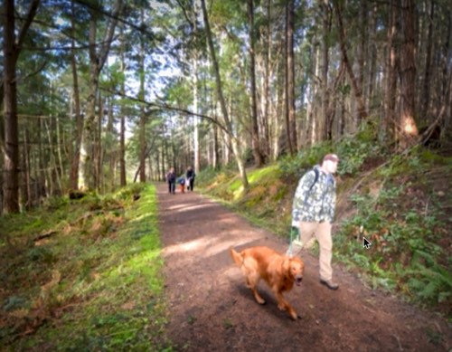 Taking to the Trails on Orcas Island