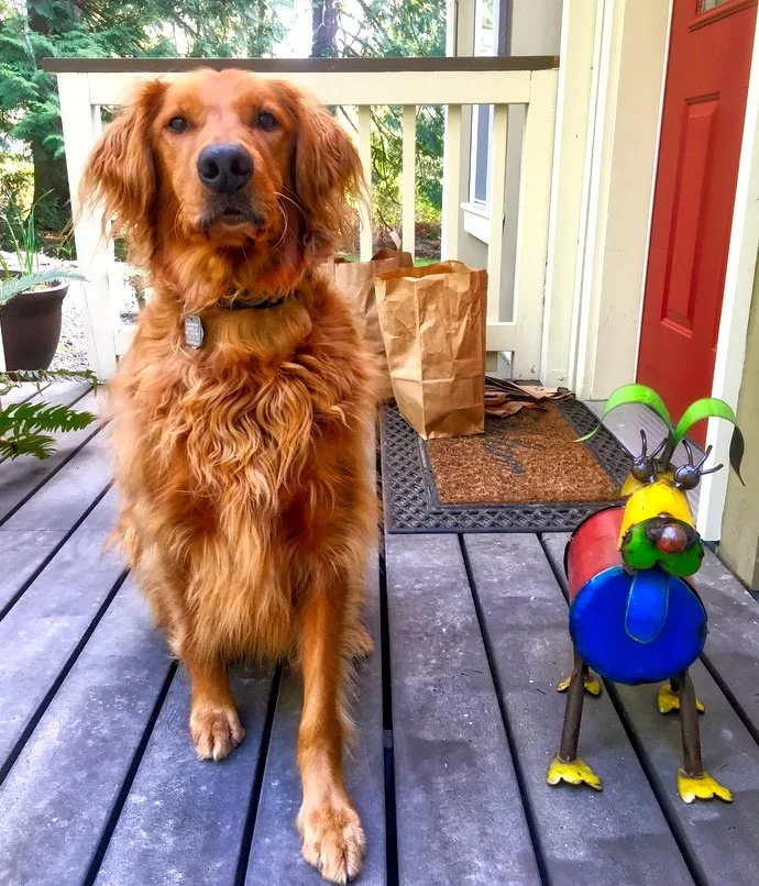 Yeager & his new buddy, Scrappy.