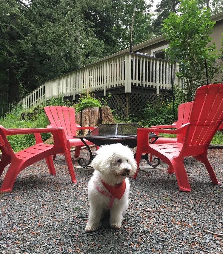 Gabi enjoying they yard near the fire pit