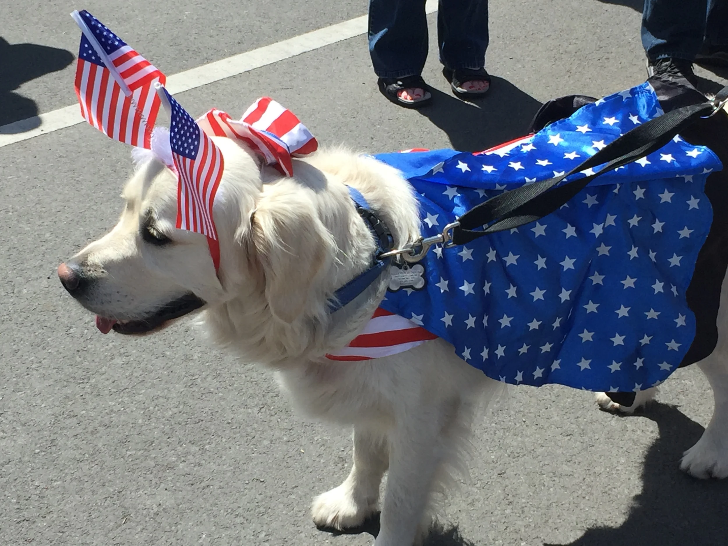 2016 Fourth of July Holiday Weekend on Orcas Island