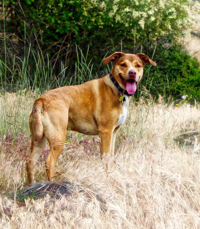 Enjoying another hike!