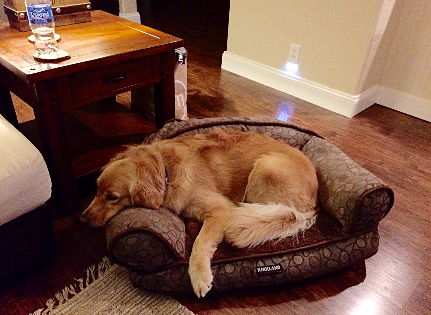 Resting after a long day of exploring