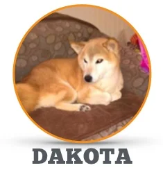 Dakota.jpg