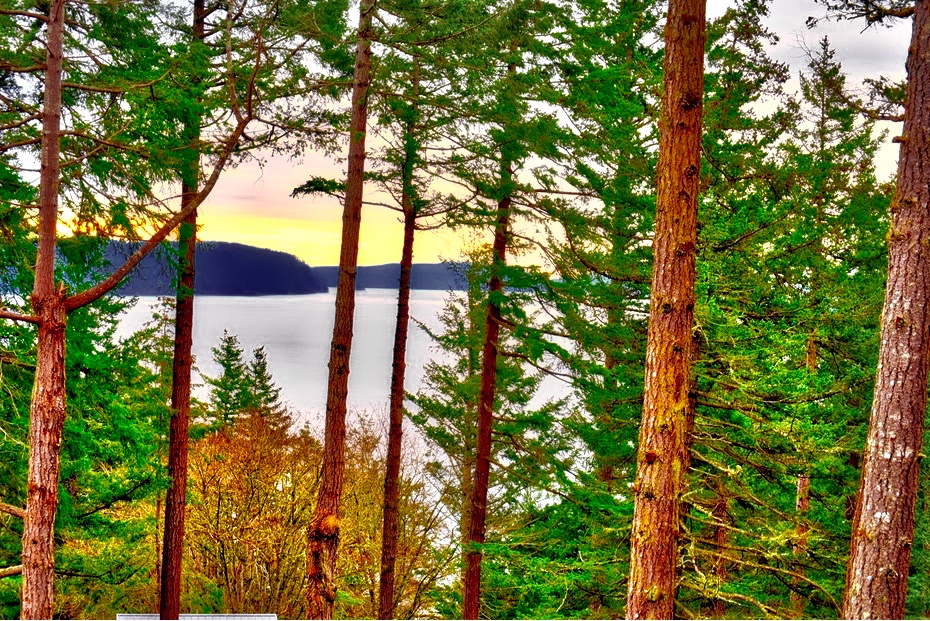 ViewsfromtheDeck_HDR.jpeg