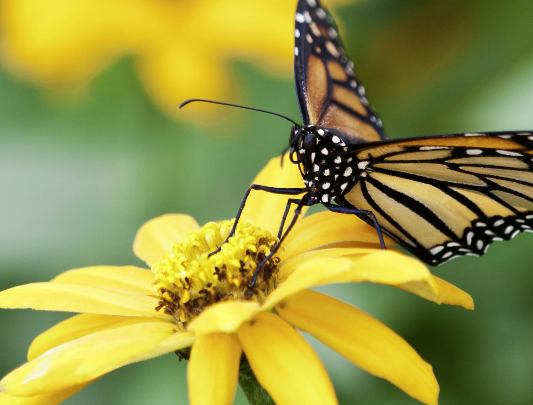 Barn Damascus-113.JPG