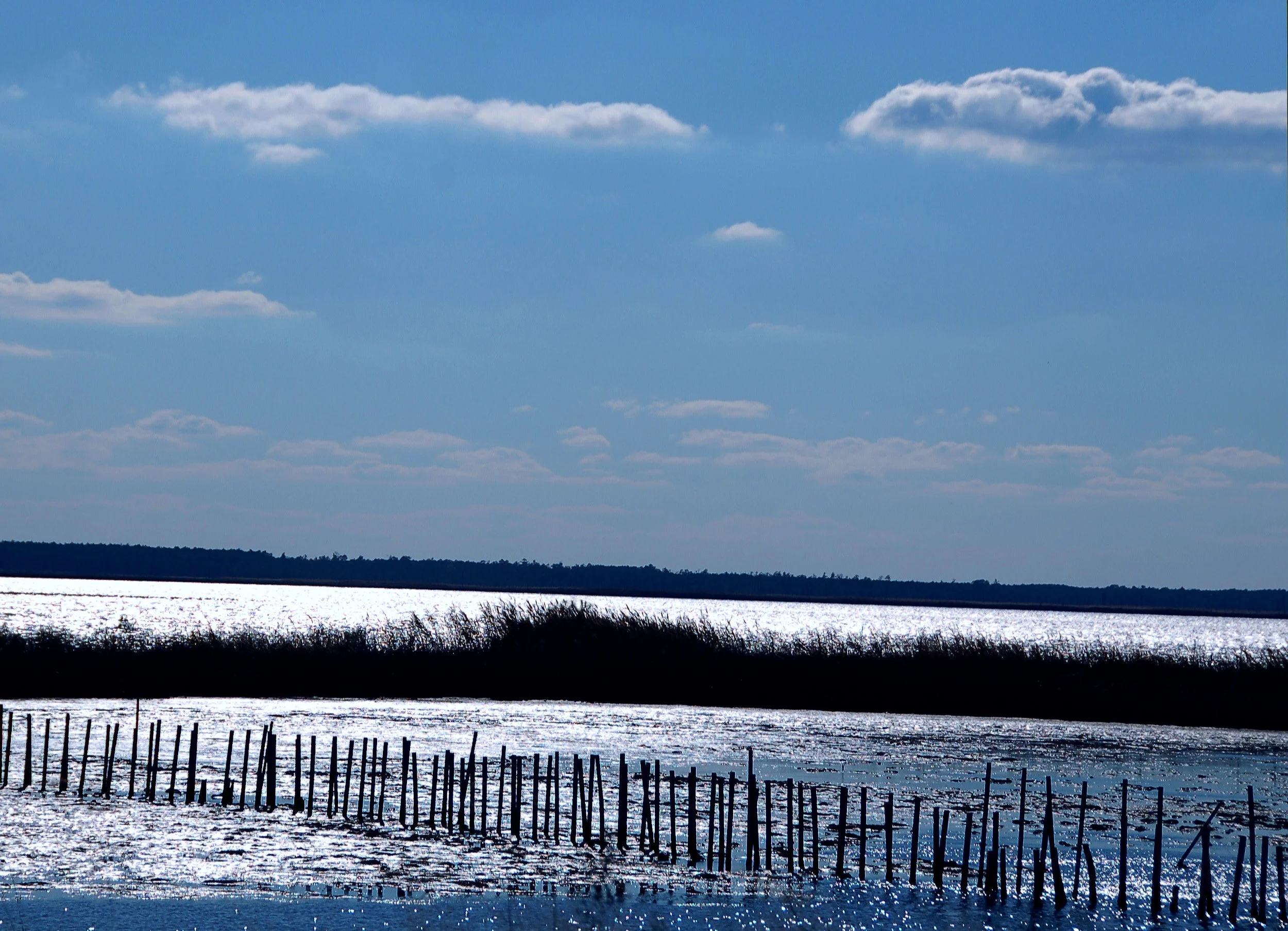        try{(function() {if (typeof(lpcurruser) == 'undefined') lpcurruser = ''; if (document.getElementById('lpcurruserelt') && document.getElementById('lpcurruserelt').value != '') { lpcurruser = document.getElementById('lpcurruserelt').value; docum