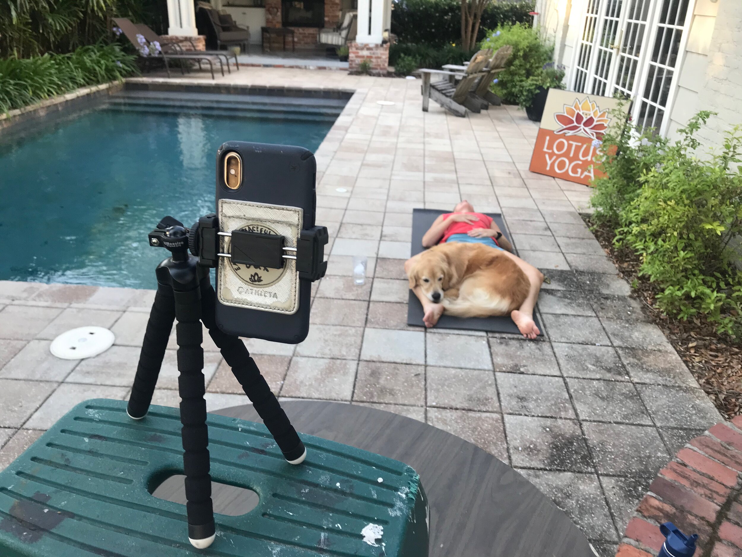 The early days of Zoom yoga . . . .