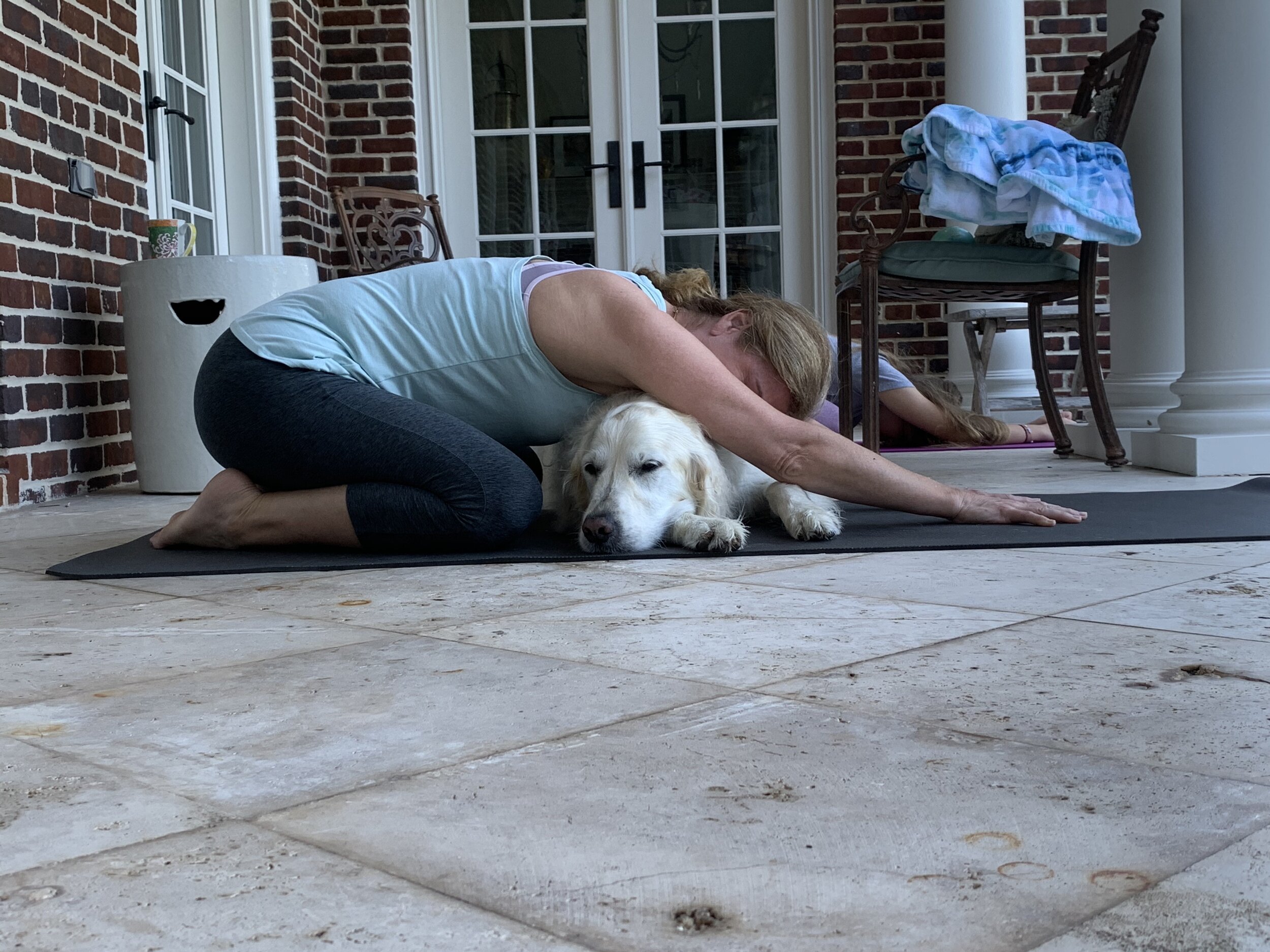 Yoga with sunshine and furry friends