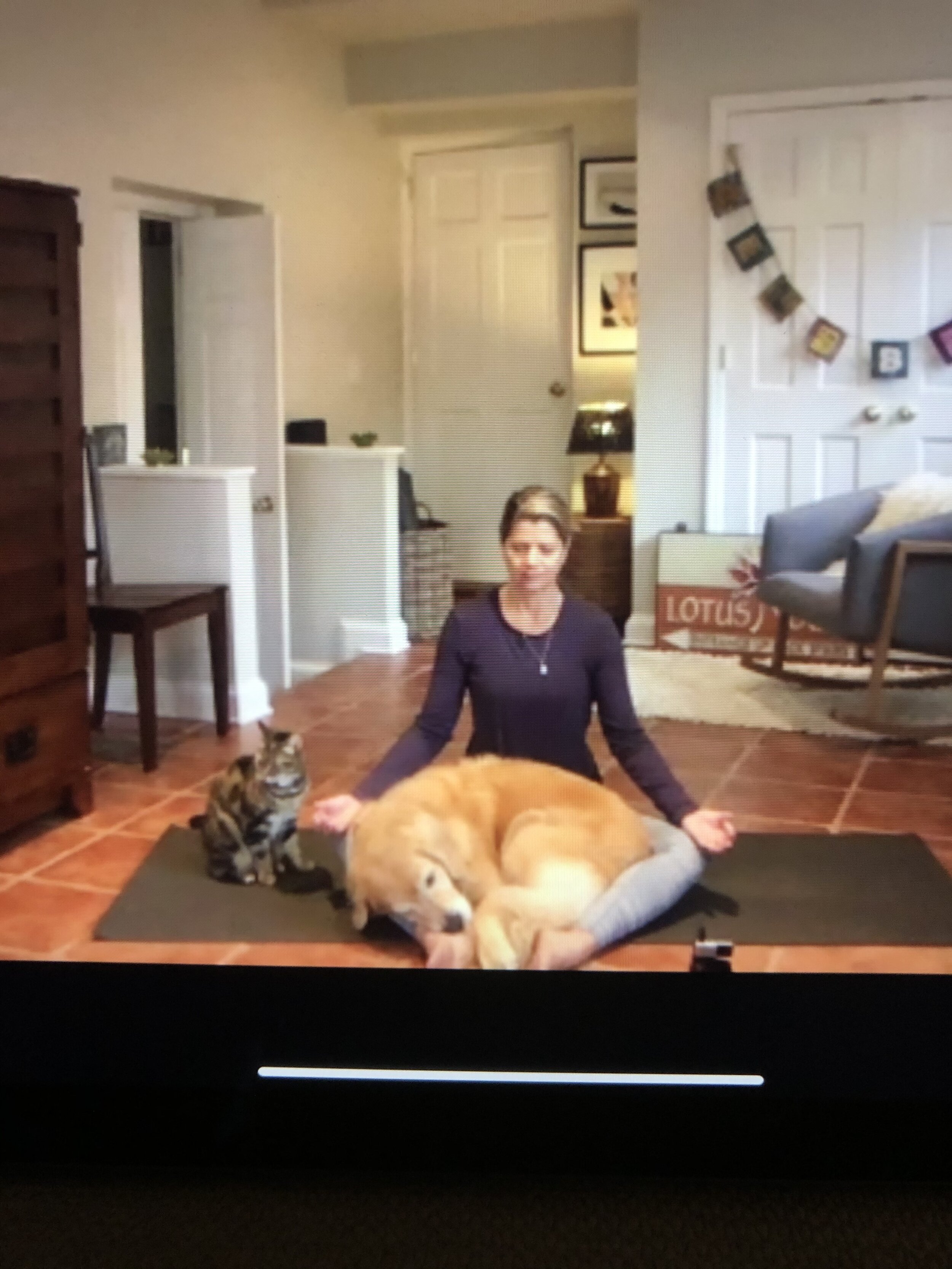 Zoom Yoga with Friends :)