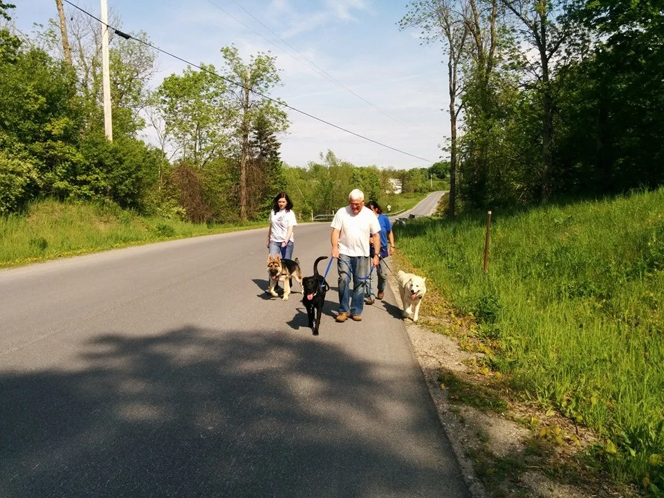 Out for a walk