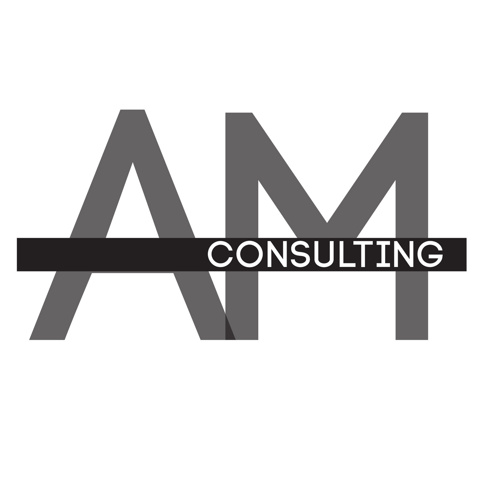 AM Consulting Logo Insta.jpg