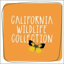 Poppy Cards Tag3.jpg