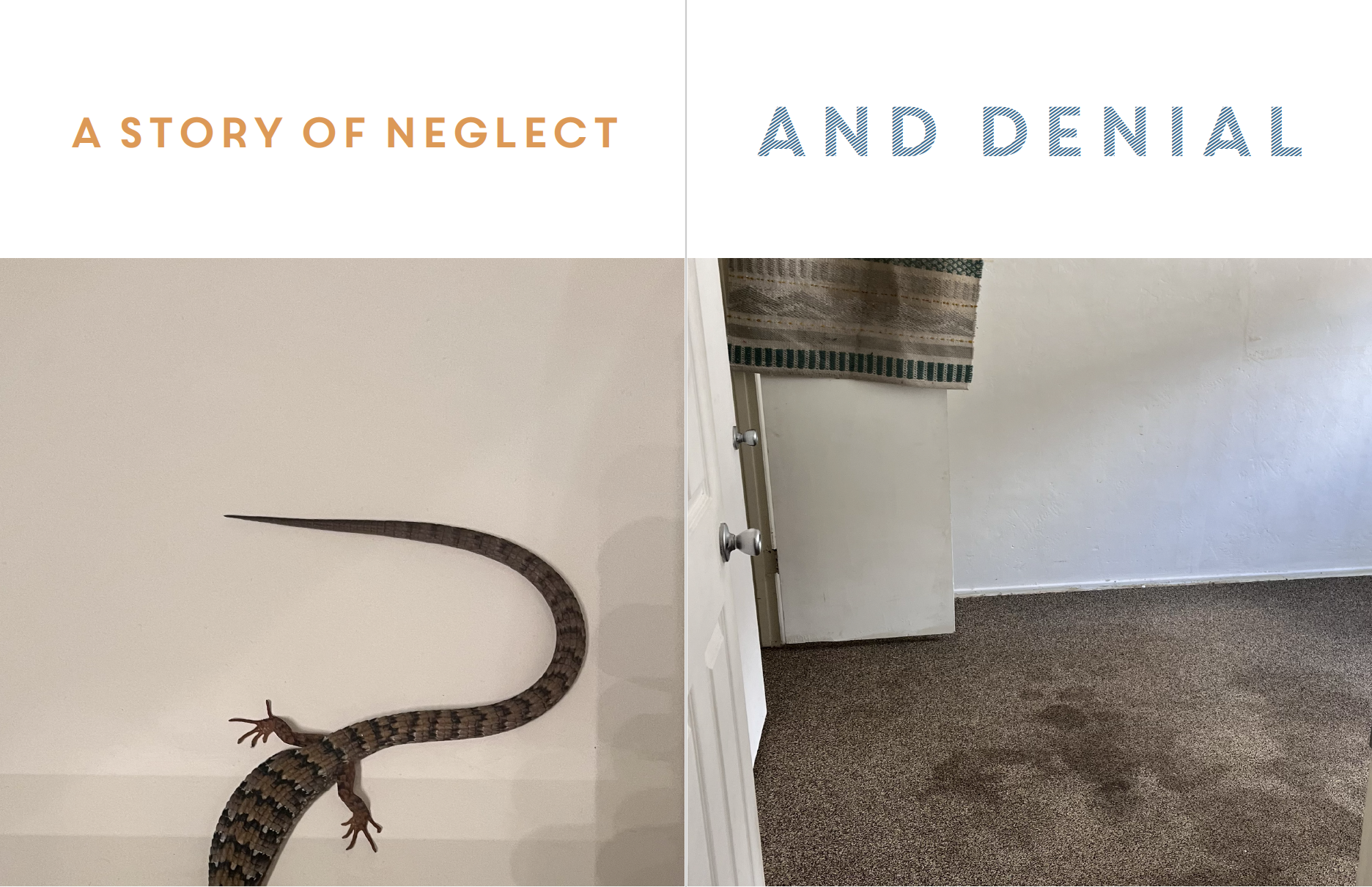 Screen Shot 2026-04-10 at 10.27.26 AM.png