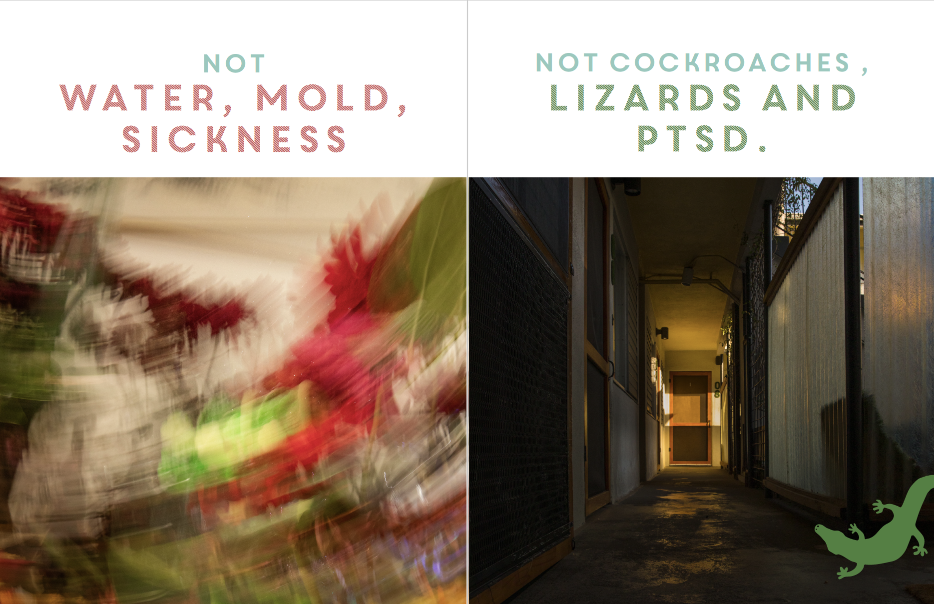 Screen Shot 2026-04-10 at 10.27.36 AM.png