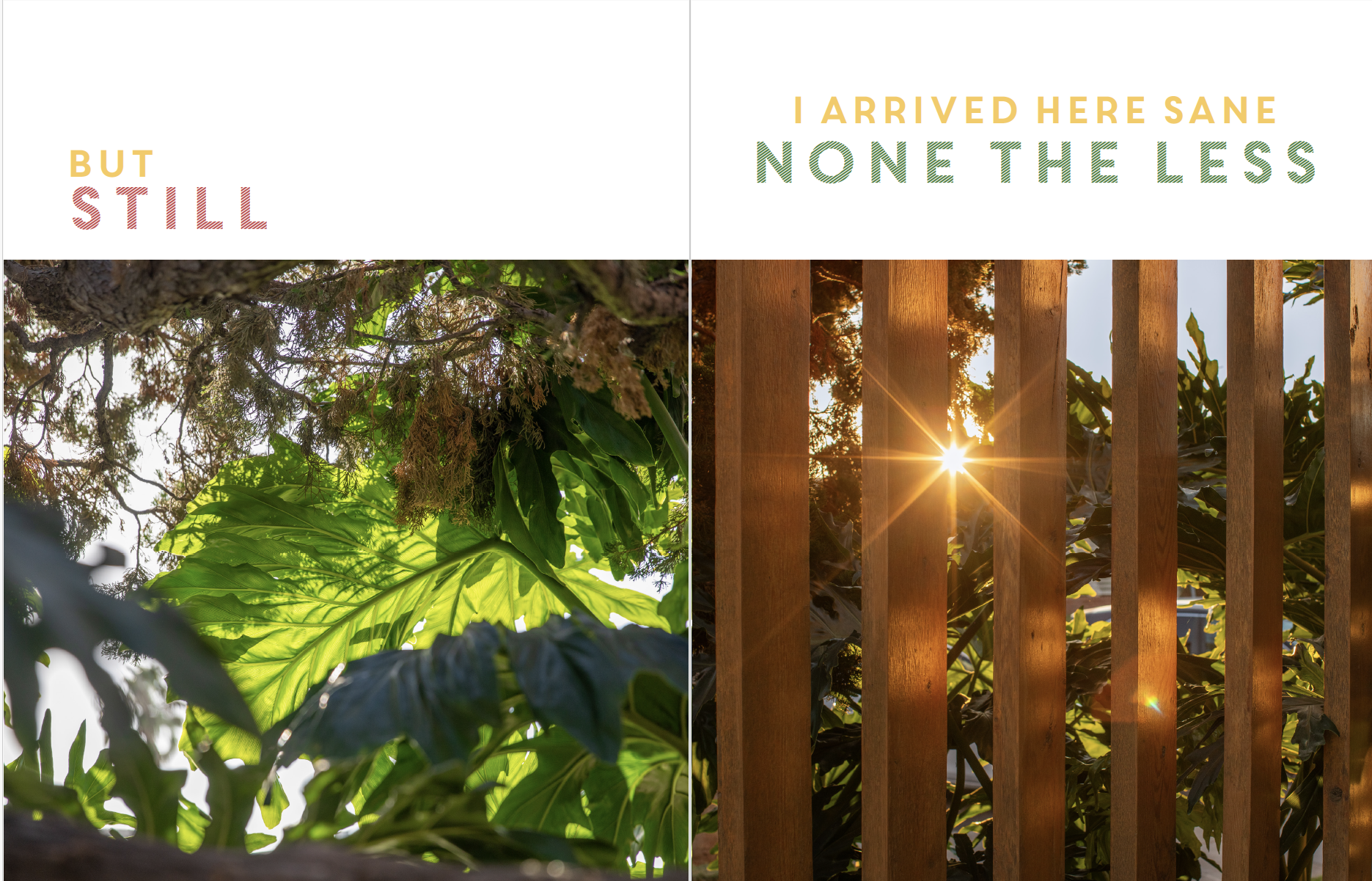 Screen Shot 2026-04-10 at 10.27.37 AM.png