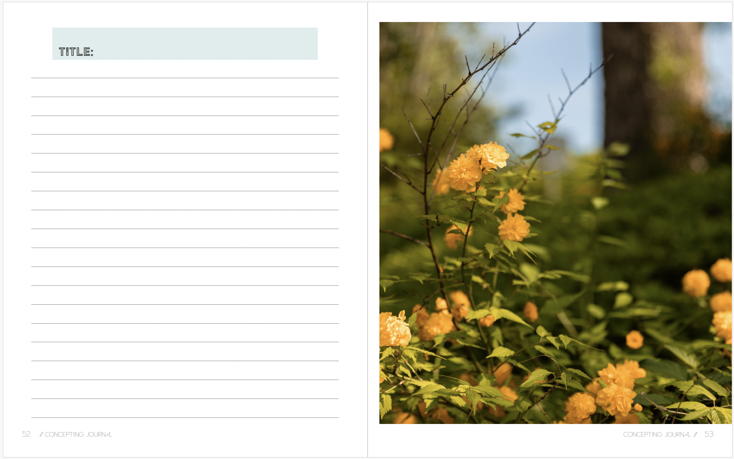 Screen Shot 2026-04-09 at 5.20.34 PM.png