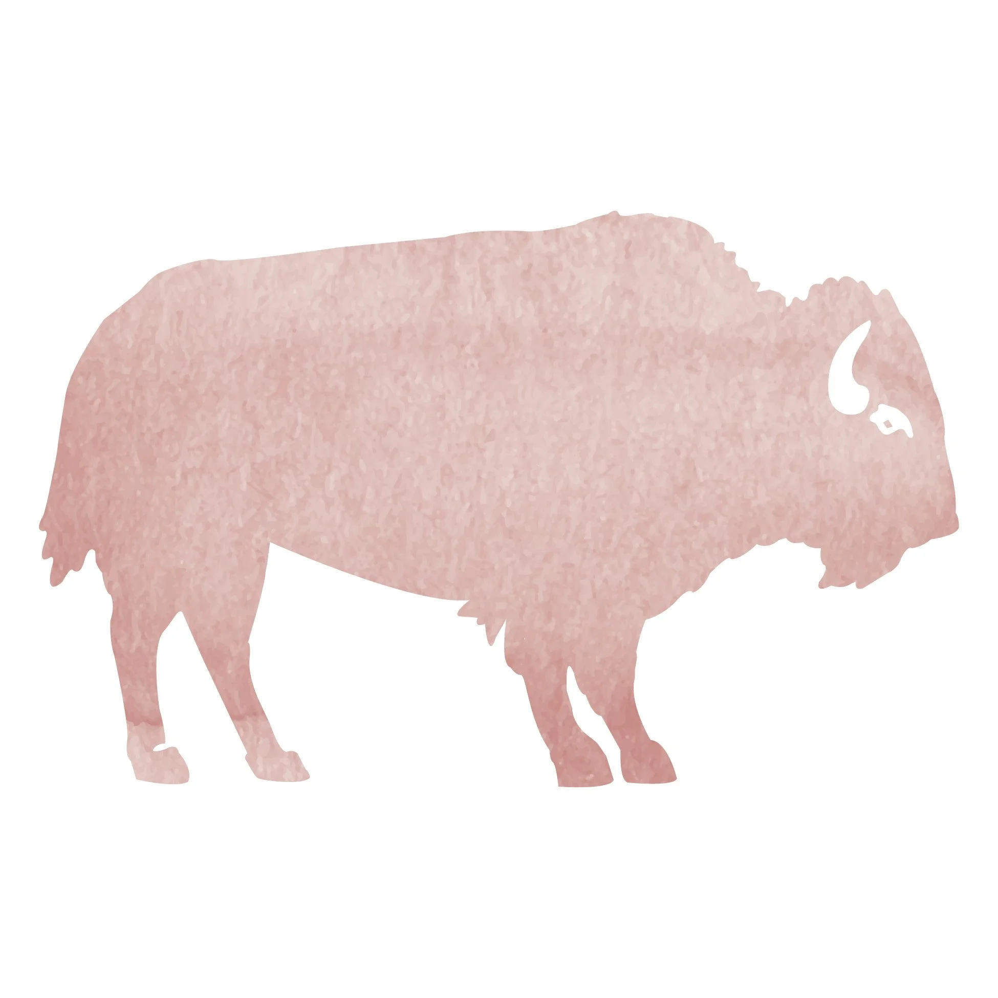 Buffalo Sticker.jpg