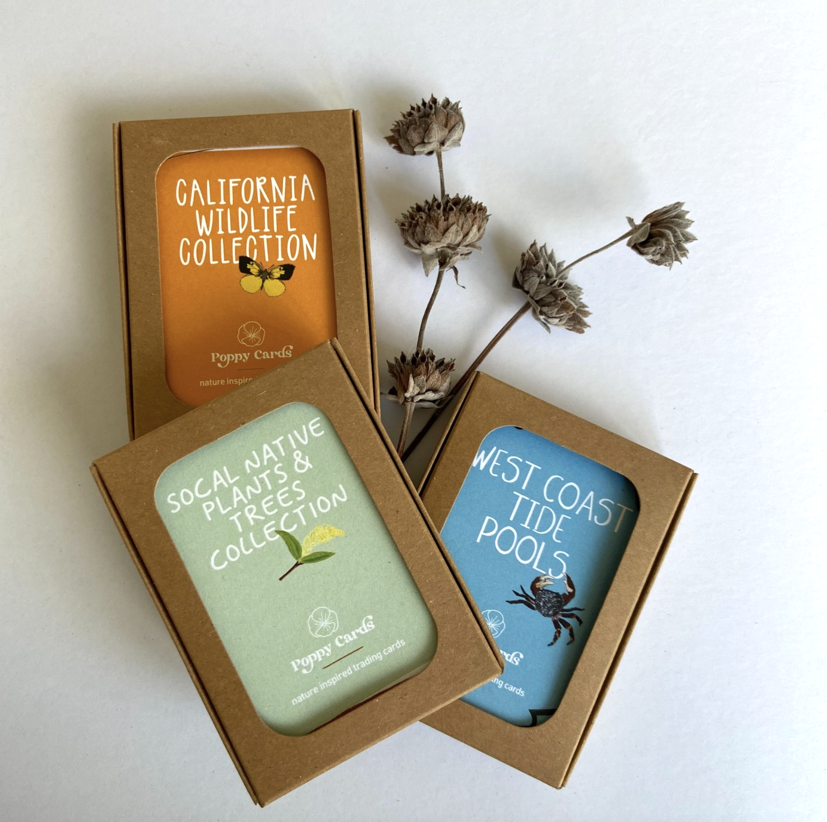 Screen Shot 2026-04-09 at 8.02.20 PM.png