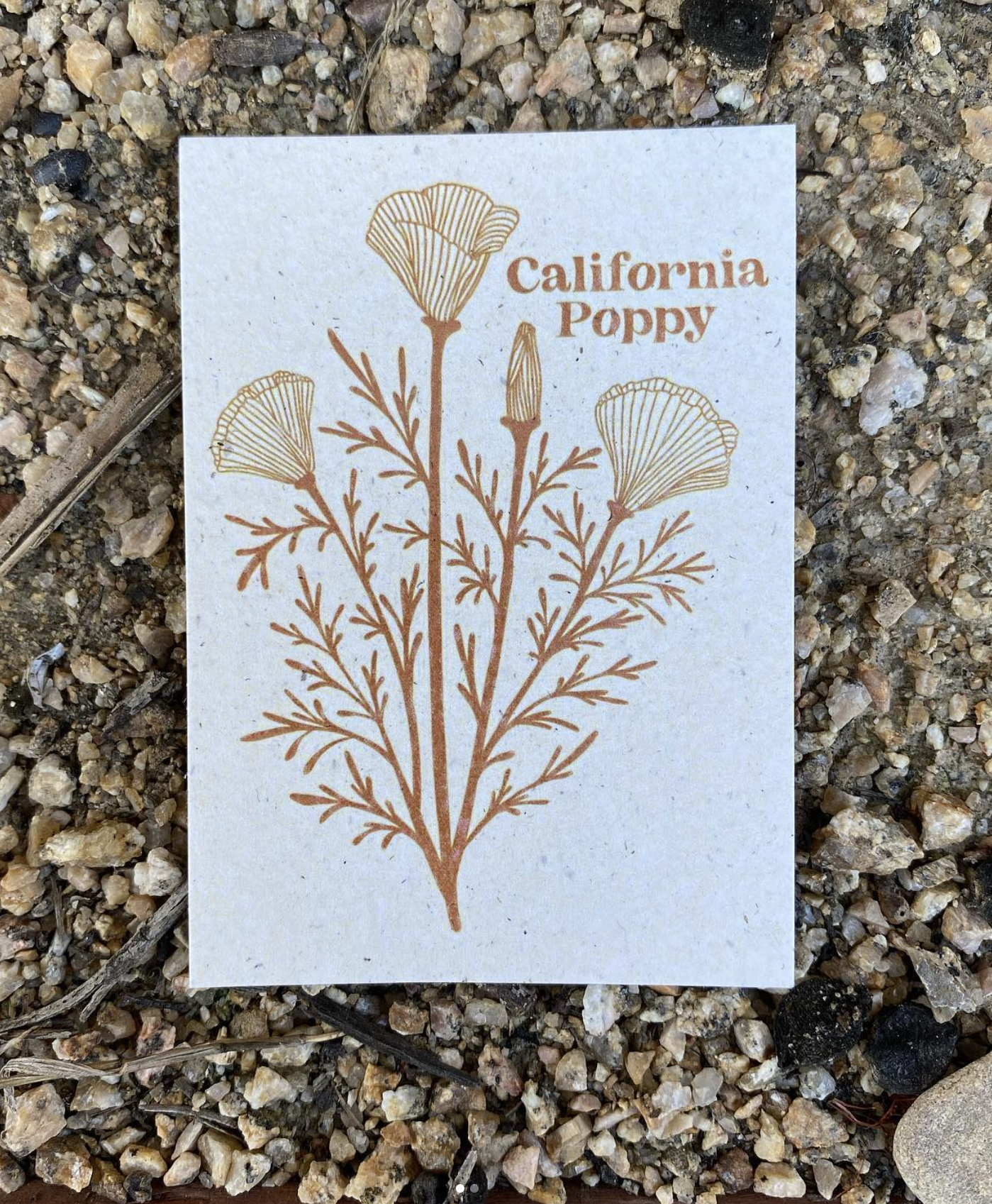 Screen Shot 2026-04-09 at 8.02.53 PM.png