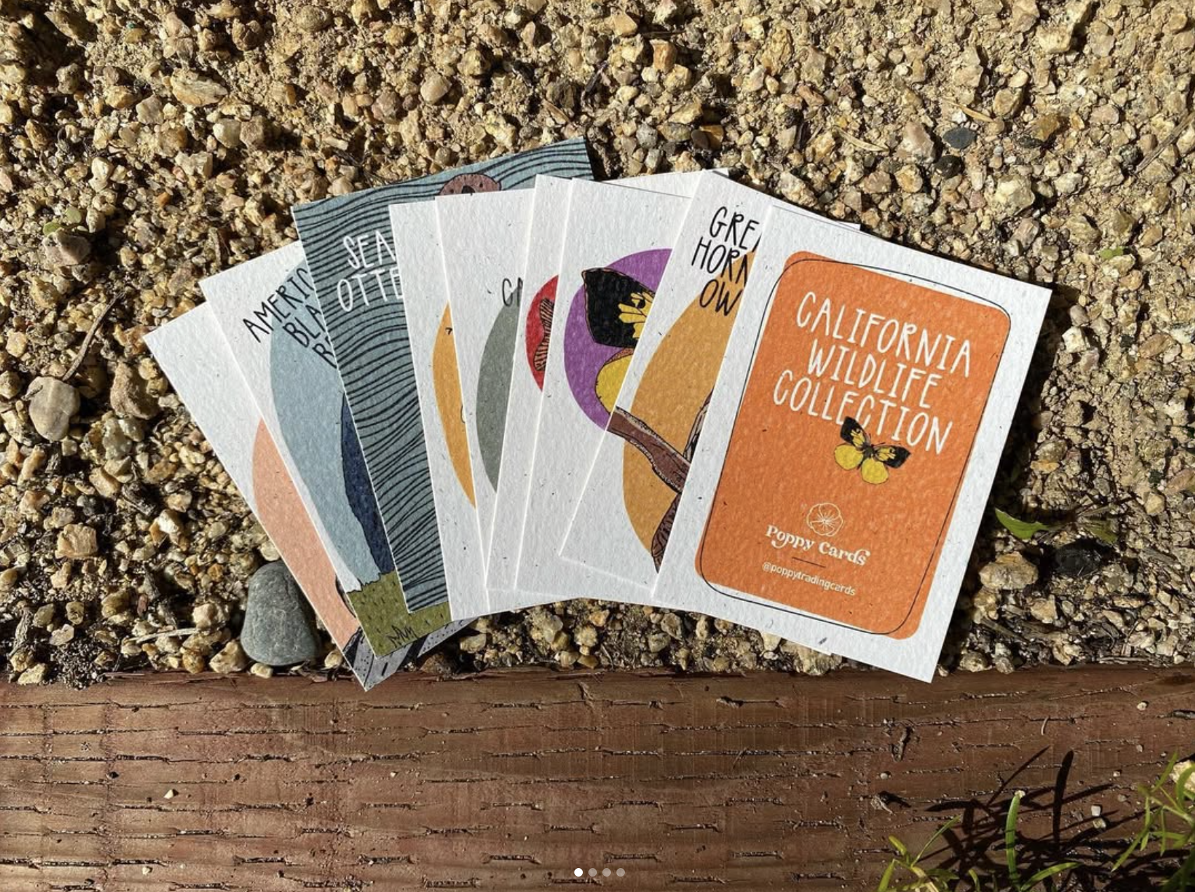 Screen Shot 2026-04-09 at 8.03.01 PM.png