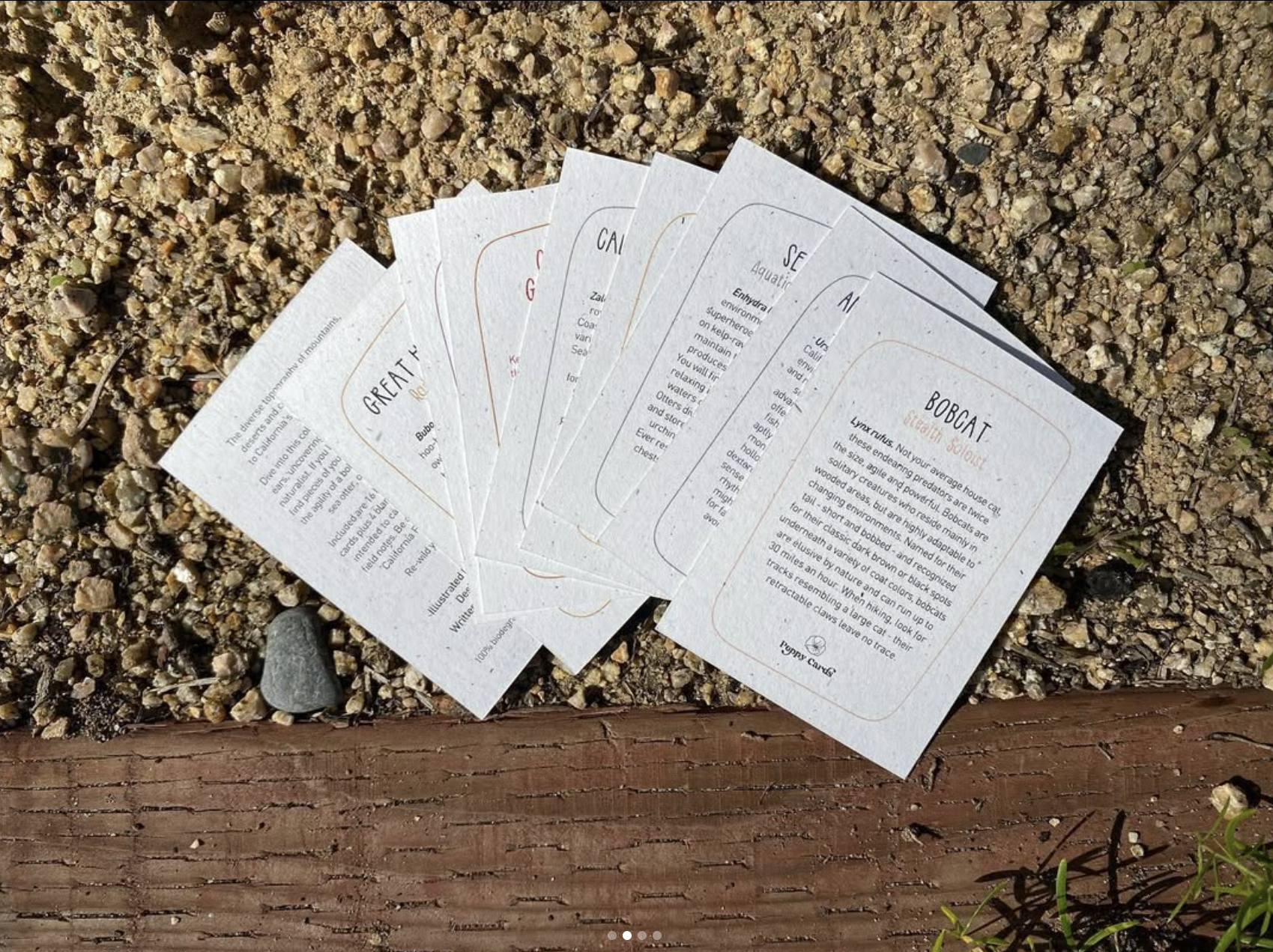 Screen Shot 2026-04-09 at 8.03.05 PM.png