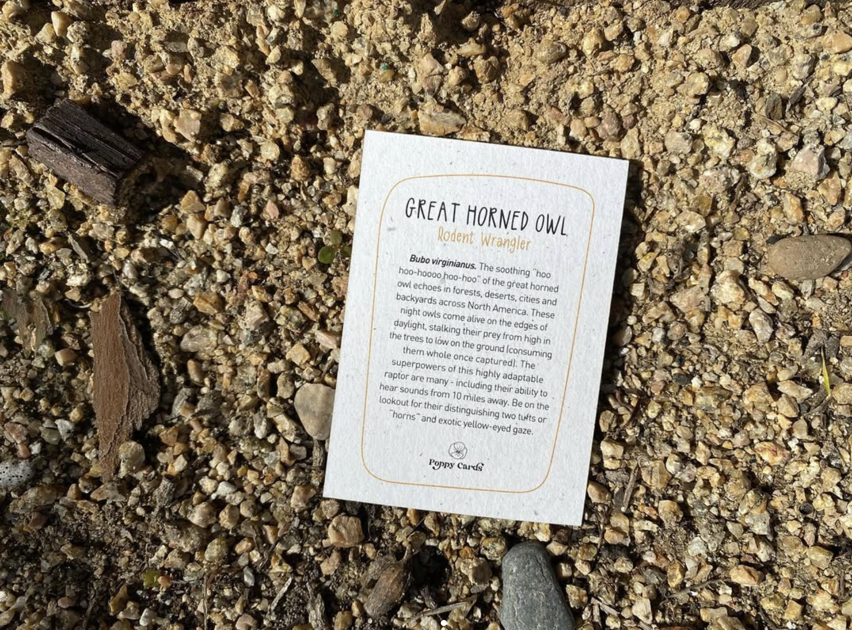 Screen Shot 2026-04-09 at 8.03.11 PM.png