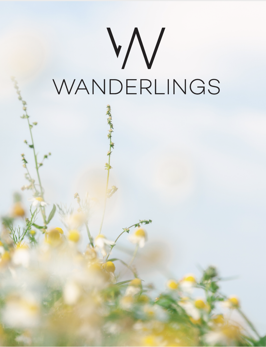 Screen Shot 2026-04-09 at 8.31.16 PM.png