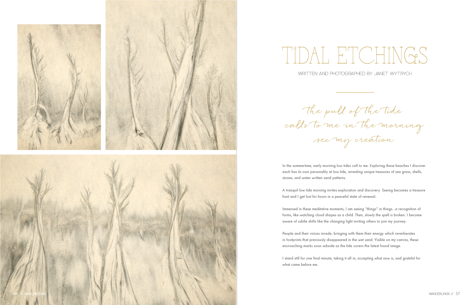 Screen Shot 2026-04-09 at 8.37.18 PM.png