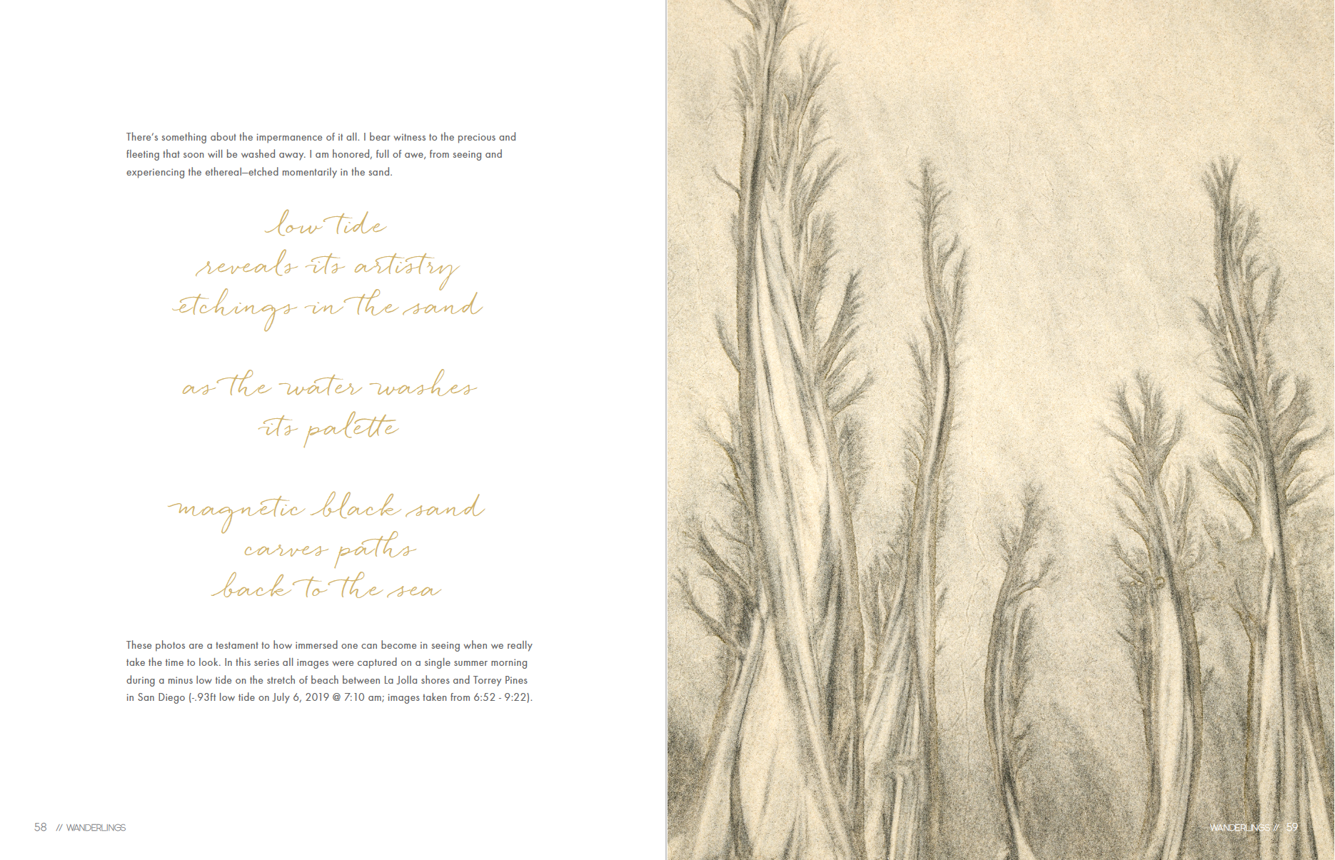 Screen Shot 2026-04-09 at 8.37.21 PM.png