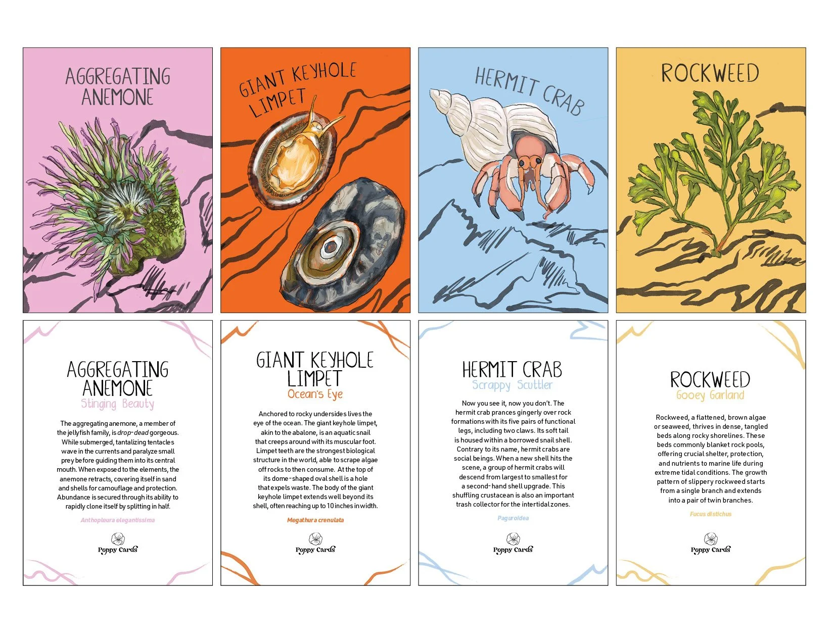 PoppyCards3.jpg