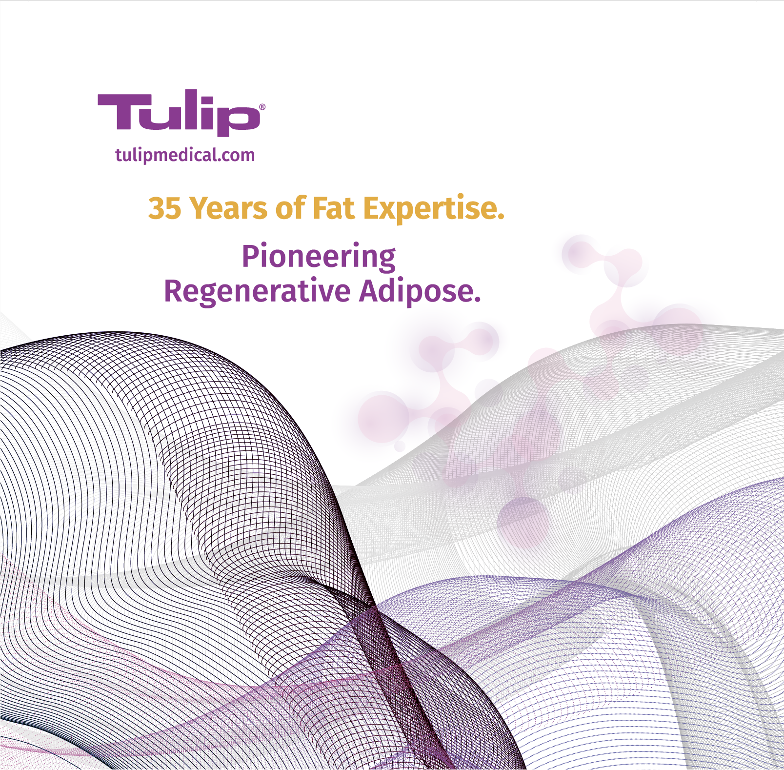 Screen Shot 2026-04-10 at 4.28.40 PM.png