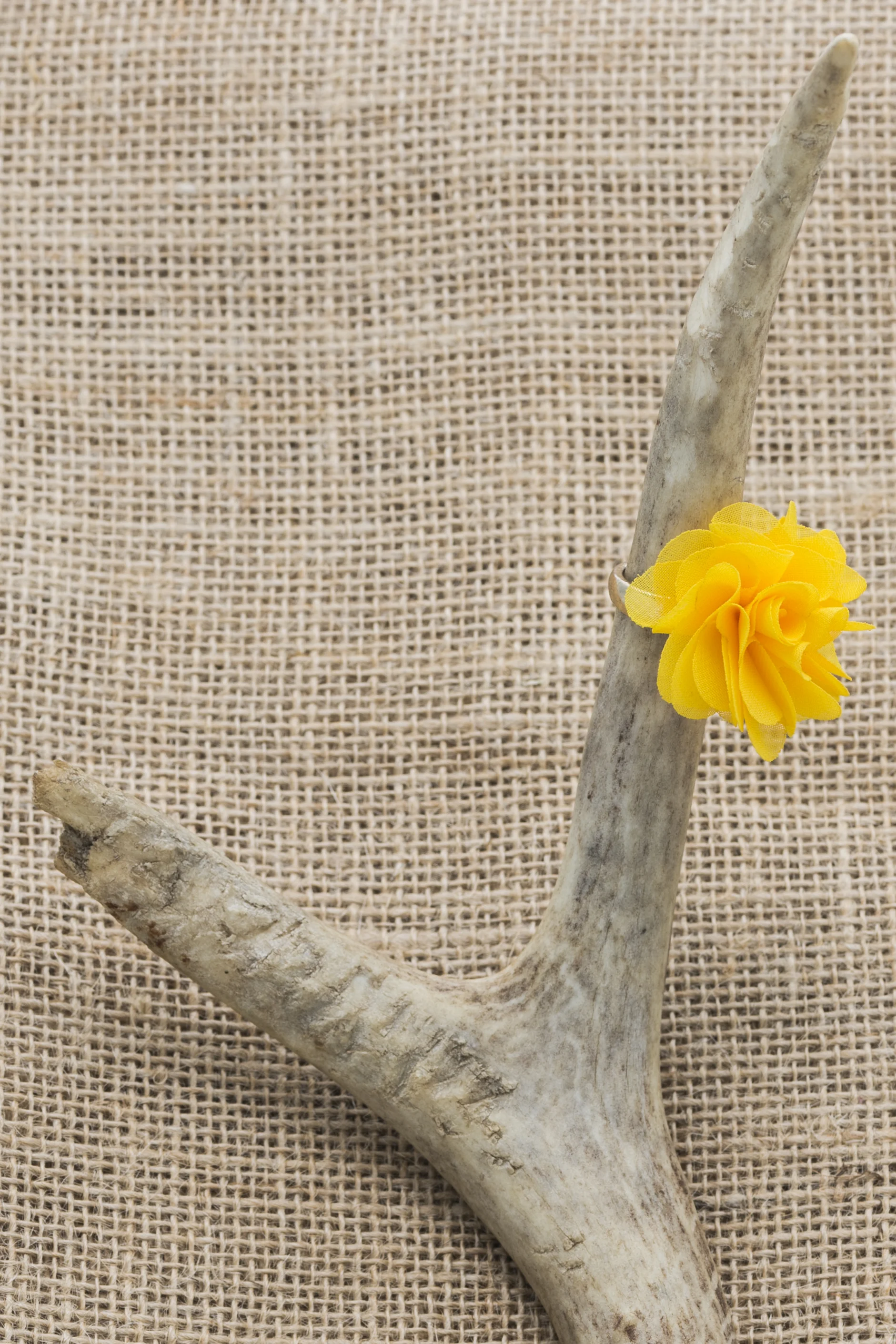 Shoot with Jacqui0016.jpg