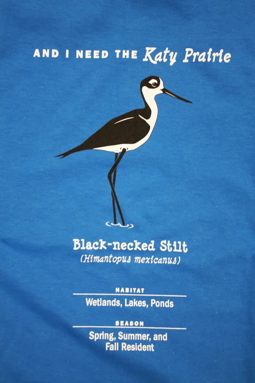 Black-Necked Stilt Detail