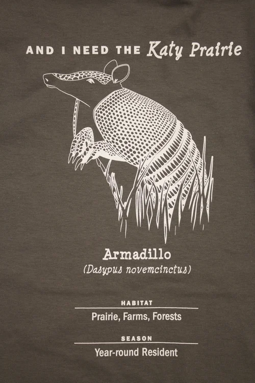 Armadillo Detail