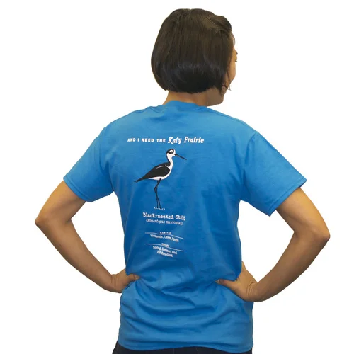 Black-Necked Stilt Back