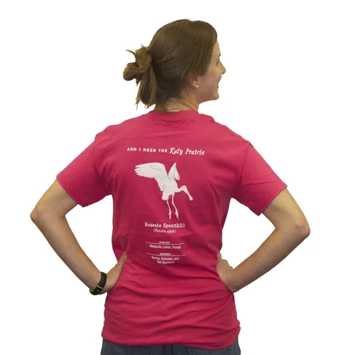 Roseate Spoonbill Back