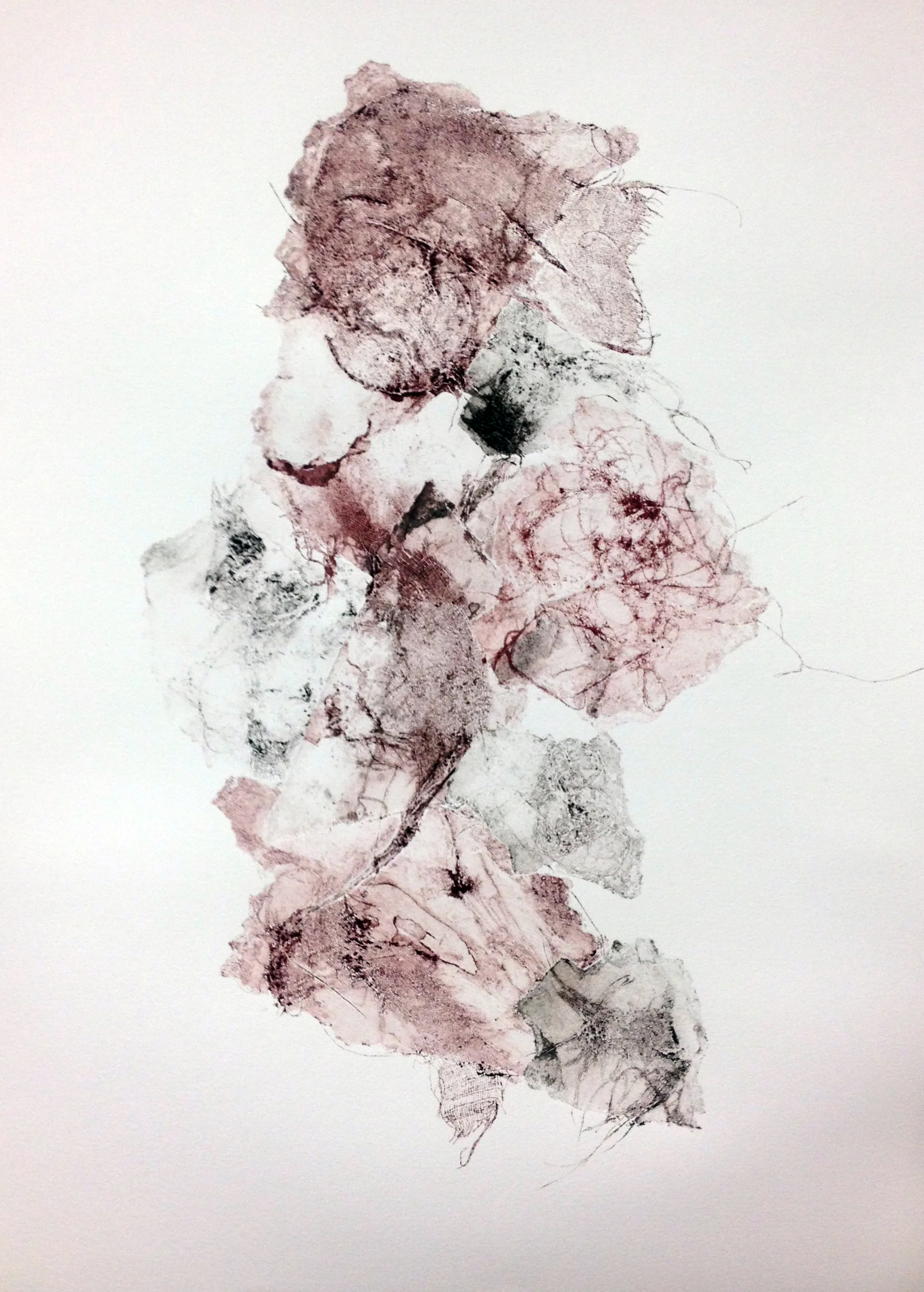  Collagraph 