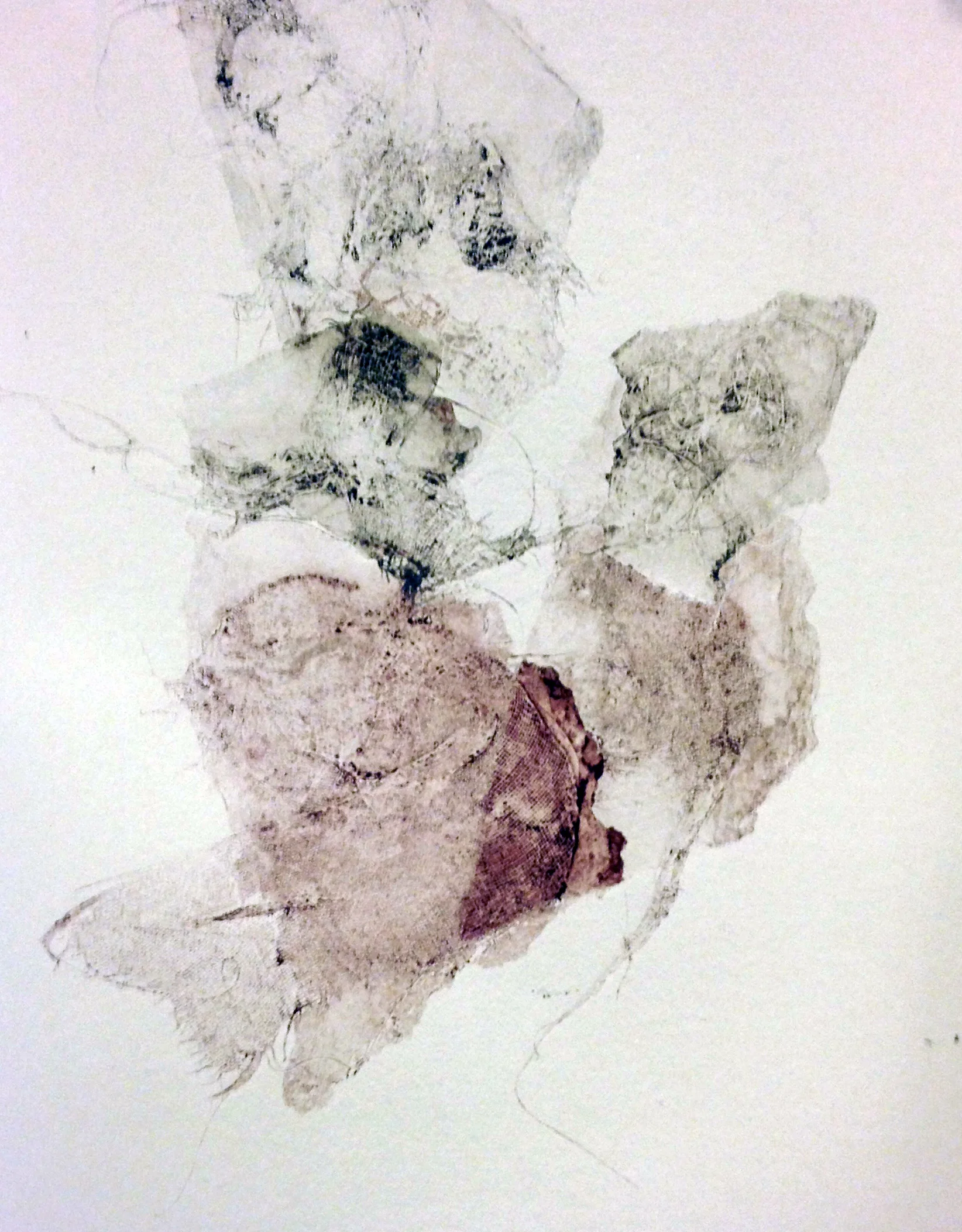  Collagraph 