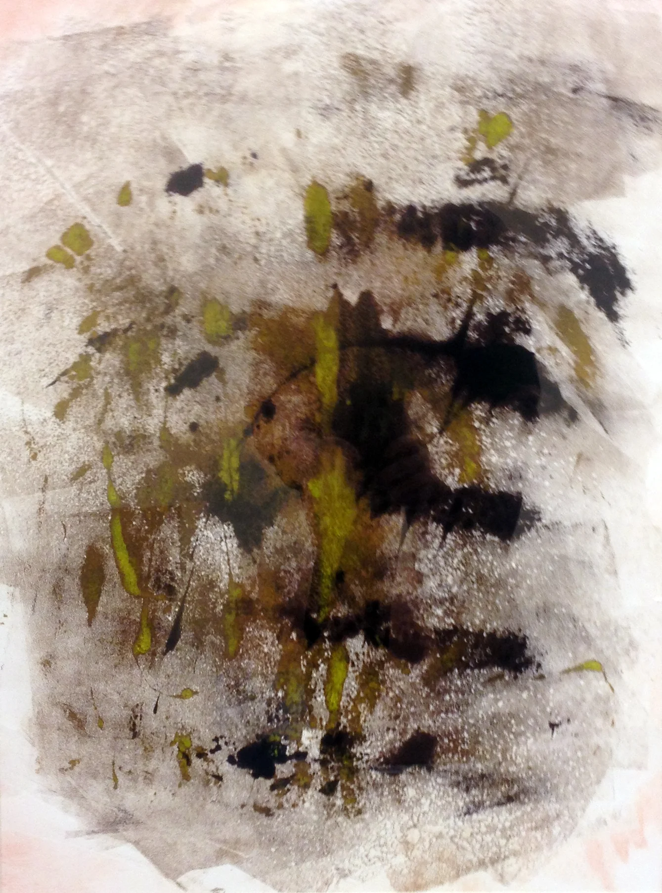  Monotype 