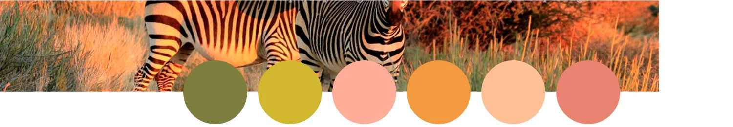 SunsetSafari_WebLayout_b_01.jpg