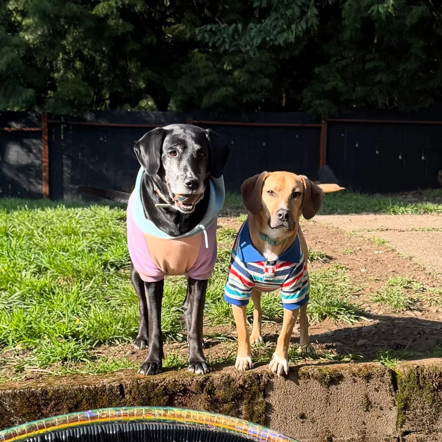 My Bone Thugs in harmony 😋