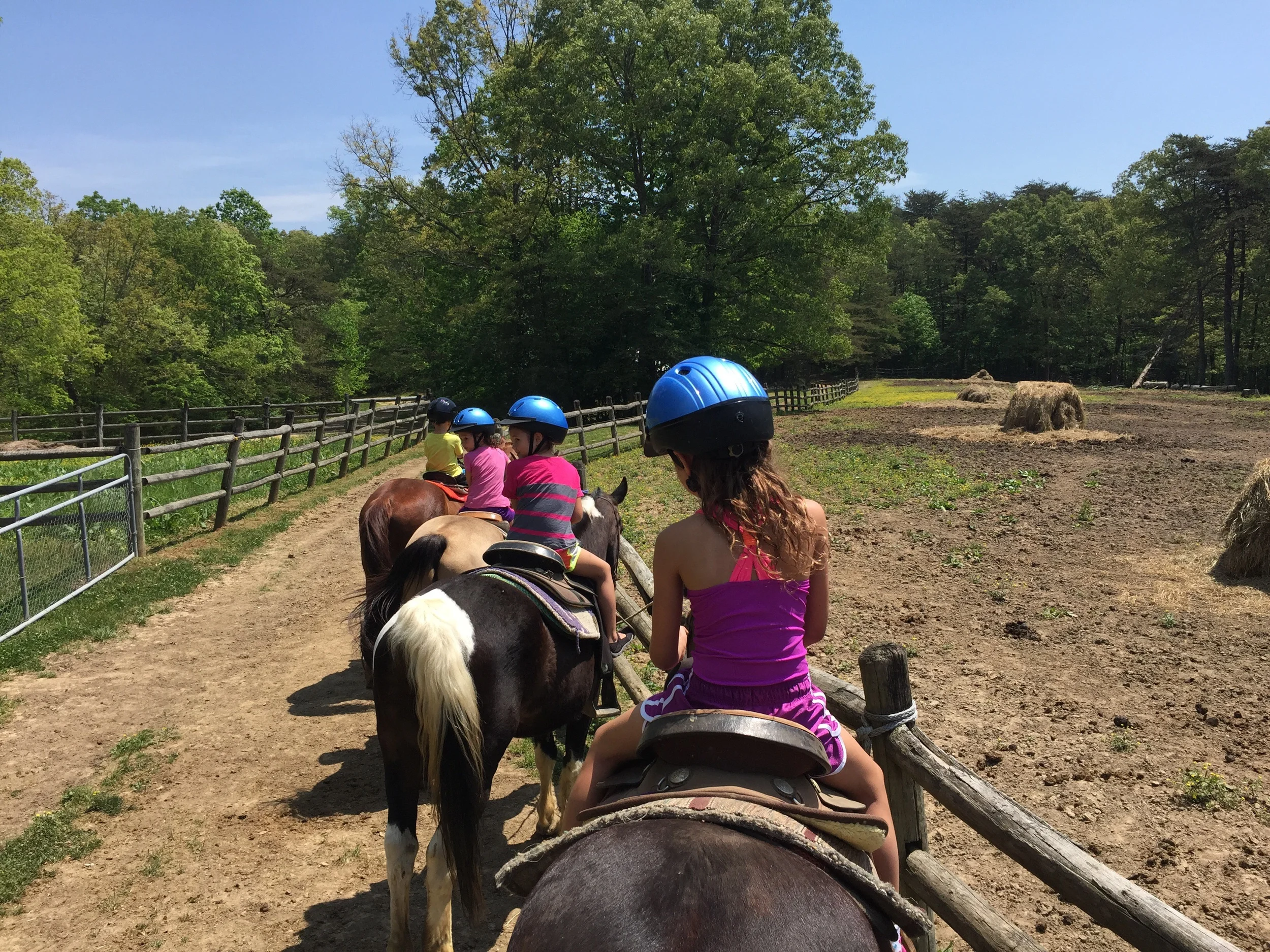 Horseback riding with kids at Fall Creek Falls.