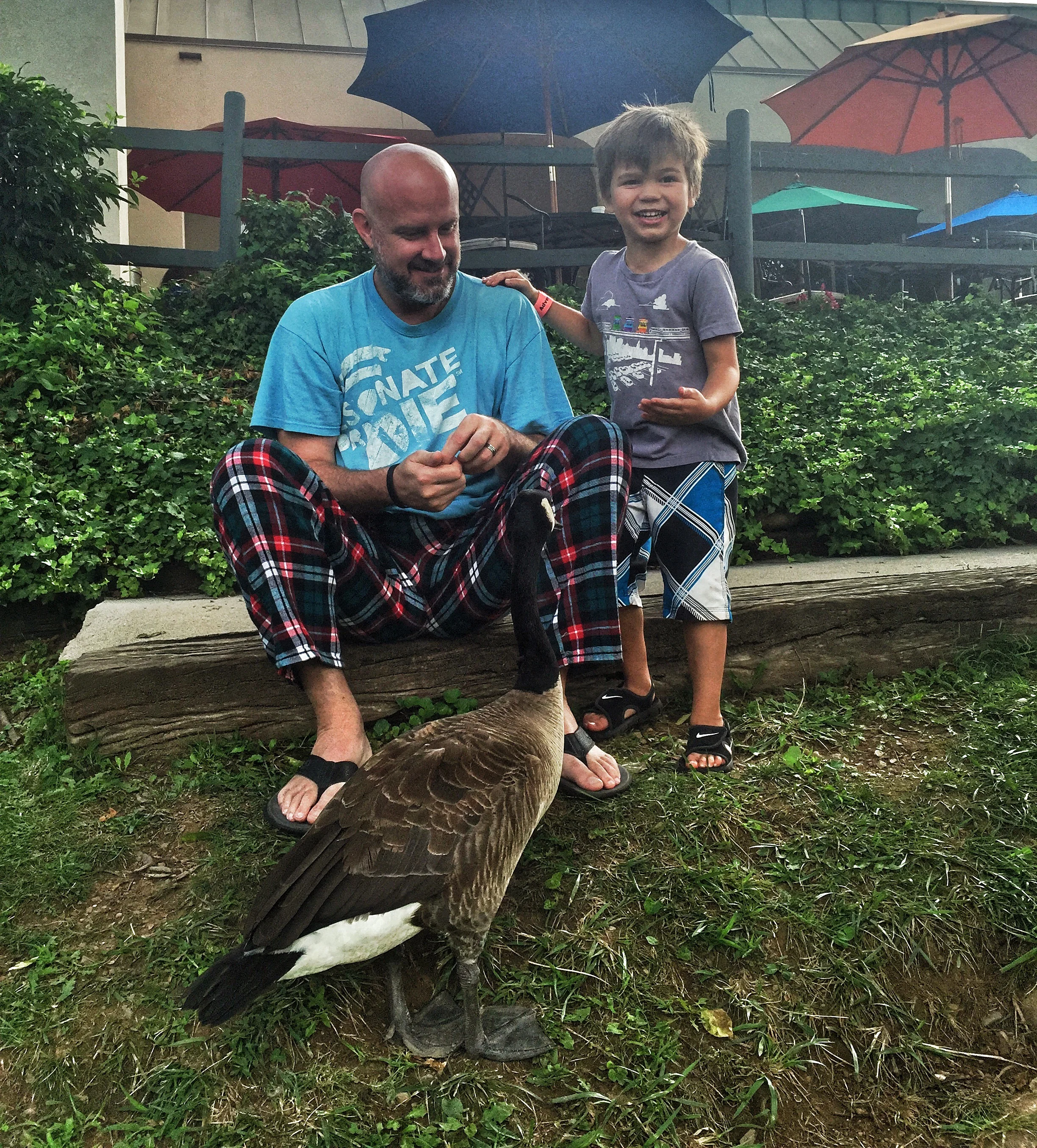 In our jammies after breakfast but the geese didn't mind.