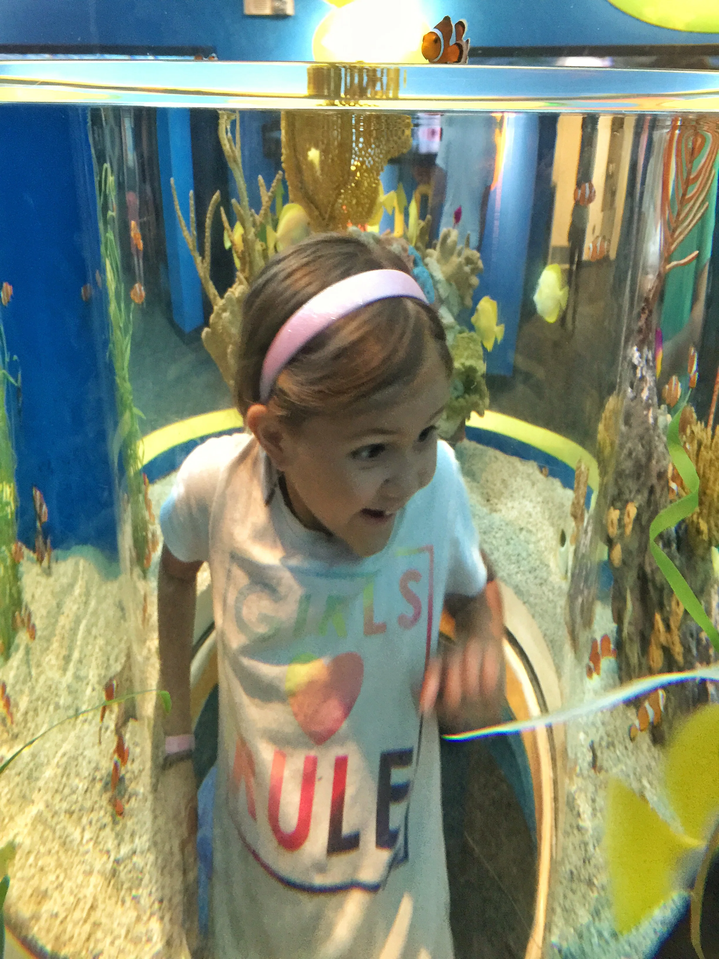 Crawl in the tank and see the fish up close!