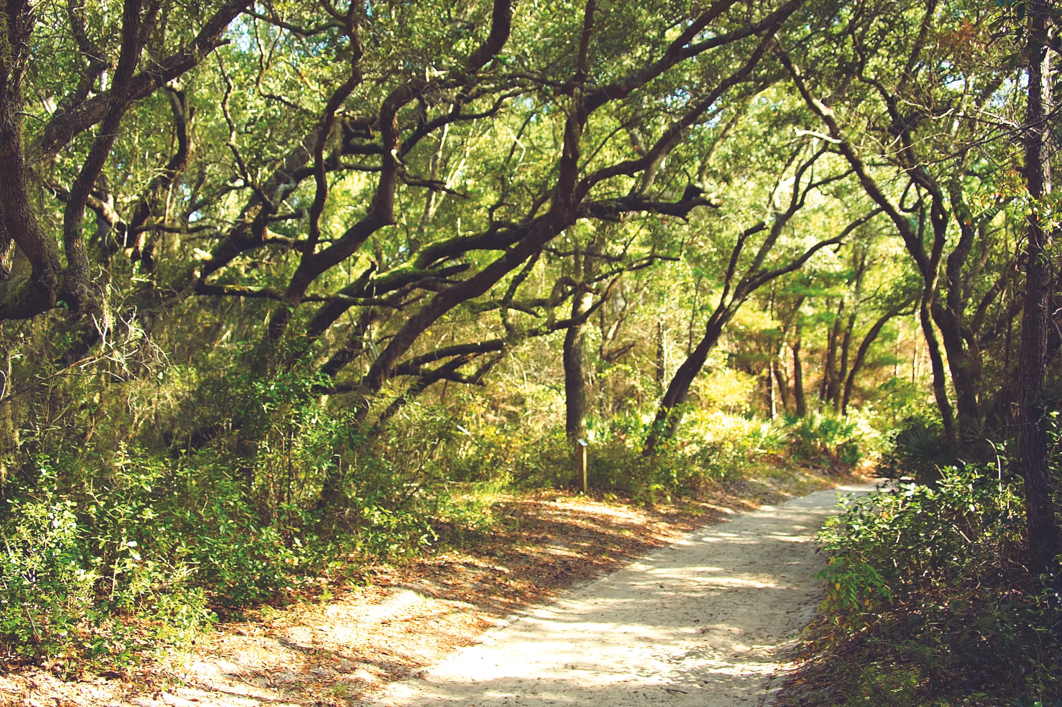 Bon Secour National Wildlife Refuge, Gulf Shores and Orange Beach, Alabama