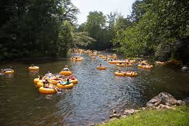 Source: Smoky Mountain River Rat